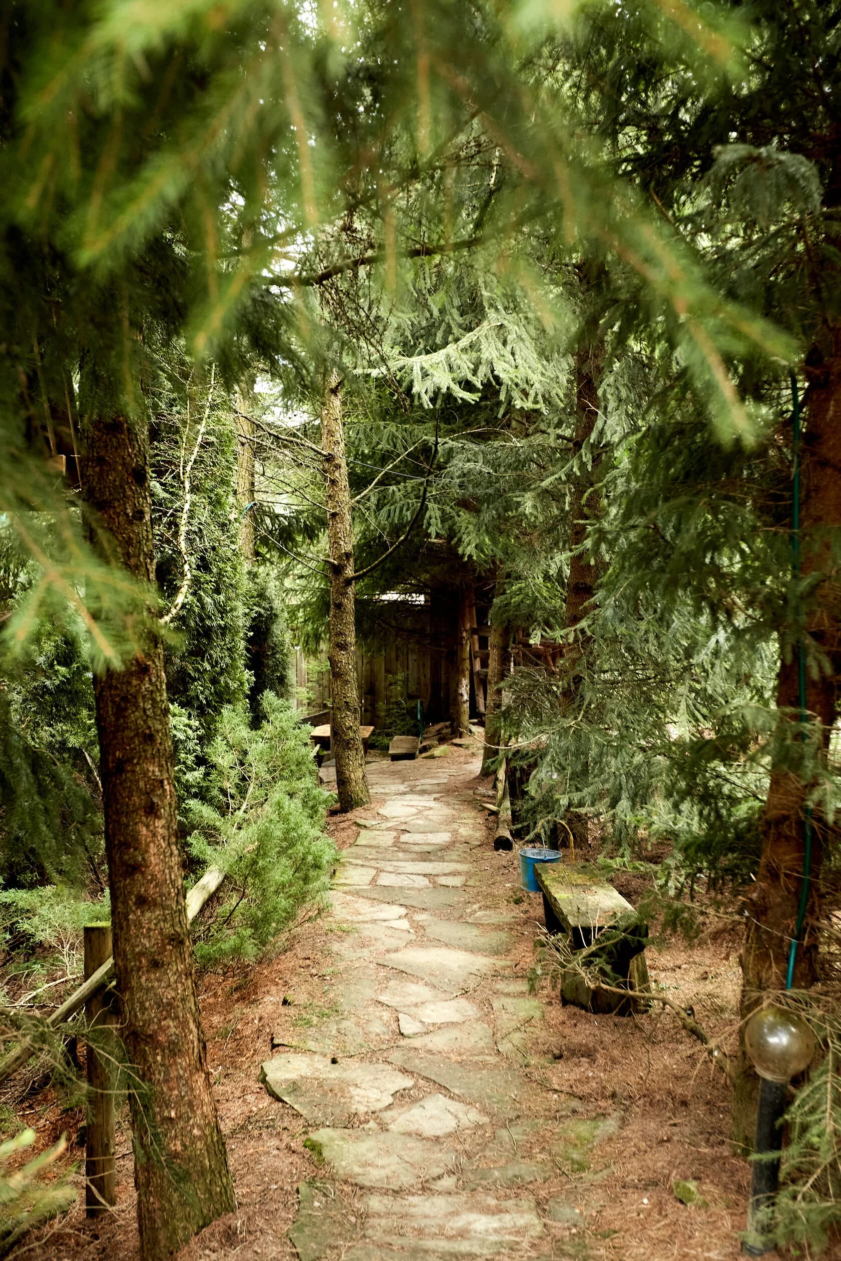 Gallery image 2